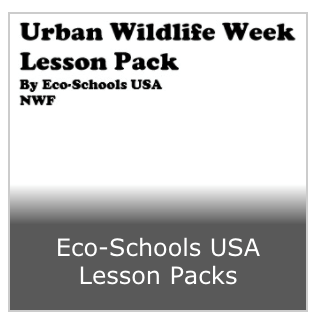 Eco-Schools 